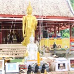 ปทุมธานี วัดสิงห์ อำเภอสามโคก จังหวัดปทุมธานี จัดงานพิธีพุทธาภิเษก พระพุทธเมตตาลีลาประทานพร เพื่อมอบประดิษฐานในสถานศึกษา ณ ศาลาดินวัดสิงห์ ตำบลสามโคก อำเภอสามโคก จังหวัดปทุมธานี