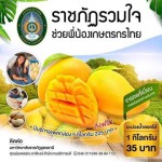 โครงการราชภัฏรวมใจช่วยเหลือพี่น้องเกษตรกรไทย