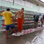 ปทุมธาน-เจ้าอาวาสวัดสะแก  นำศิษย์ยานุศิษย์นำกระสอบทราย ป้องกันน้ำไหลเอ่อท่วมวัด