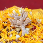 ปทุมธานี-พิธีมหานำฤกษ์ พญาครุฑ “เหนือดวง” หลวงปู่เส็ง วัดบางนา ณ.วัดบางนา ตำบลบางโพธิ์เหนืออำเภอสามโคก จังหวัดปทุมธานี