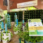 ปทุมธานี-“เกษตร D.I.Y” Online by Onsite เกษตรยุค New normal 5 – 6 กุมภาพันธ์นี้ พิพิธภัณฑ์การเกษตรฯ จ.ปทุมธานี