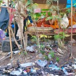 ปทุมธานี-นายอำเภอคลองหลวง ปทุมธานีร่วมกับ ตำรวจ สำนักพระพุทธศาสนาฯ บุกเพิงกระต๊อบกลางป่า พบพระ ขวดเหล้า-เบียร์ เกลื่อน ตั้งวงก๊งยามค่ำคืน