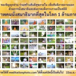 ปทุมธานี วัดพระธรรมกายชวนนั่งสมาธิส่งภาพบันทึกสถิติกินเนสส์ เวิลด์เรคคอร์ด 1 ล้านภาพ