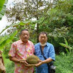 นนทบุรี- ประธาน กต.ตร.สภ. ปากเกร็ด นำคณะแม่บ้านตัดทุเรียนหมอนทองเมืองนนท์ เพื่อส่งเสริมเกษตรกรชาวจังหวัดนนทบุรี