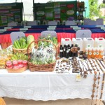 ศูนย์ประสานงานโครงการอันเนื่องมาจากพระราชดำริและความมั่นคง กองทัพไทย ดำเนินการประเมินผลงานตามหลักปรัชญาของเศรษฐกิจพอเพียง กองทัพไทย ประจำปี 2565 ศูนย์ประสานงานโครงการอันเนื่องมาจากพระราชดำริและความมั่นคง กองทัพไทย ดำเนินการประเมินผลงานตามหลักปรัชญาของเศรษฐกิจพอเพียง กองทัพไทย ประจำปี 2565