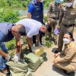 ปทุมธานี-ชาวบ้านธัญบุรีพบยาบ้า2กระสอบทิ้งในพงหญ้าริมคลองรังสิตประยูรศักดิ์ แจ้งฝ่ายปกครองเข้าตรวจสอบ ปทุมธานี-ชาวบ้านธัญบุรีพบยาบ้า2กระสอบทิ้งในพงหญ้าริมคลองรังสิตประยูรศักดิ์ แจ้งฝ่ายปกครองเข้าตรวจสอบ