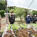 ศูนย์ประสานงานโครงการอันเนื่องมาจากพระราชดำริและความมั่นคง กองบัญชาการกองทัพไทย ดำเนินการประเมินผลงานตามหลักปรัชญาของเศรษฐกิจพอเพียง กองทัพไทย ประจำปี 2565