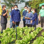 ปทุมธานี เกษตรกรลาดหลุมแก้วเรียนรู้เทคโนโลยีทันสมัย สตาร์ทเพาะปลูก Field Day ฤดูกาลผลิตใหม่ ปทุมธานี เกษตรกรลาดหลุมแก้วเรียนรู้เทคโนโลยีทันสมัย สตาร์ทเพาะปลูก Field Day ฤดูกาลผลิตใหม่