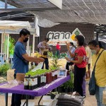 ปทุมธานี พิพิธภัณฑ์การเกษตรเฉลิมพระเกียรติพระบาทสมเด็จพระเจ้าอยู่หัว จัดงานตลาดเศรษฐกิจพอเพียงเกษตร รักษ์โลก