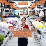 ปทุมธานี “ตลาดดอกไม้สี่มุมเมือง” ยุคใหม่ พร้อมเปิดให้บริการแล้ว ขยายใหญ่ขึ้น 150% บนพื้นที่ 5,200 ตร.ม.