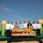 ปทุมธานี “เริ่มแล้วเทศกาล“ทานตะวันบานสะพรั่งทั่วระแหง ครั้งที่ 5 ”จุดเช็คอินต้อนรับลมหนาวใกล้กรุงที่ปทุมธานี