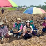 พิษณุโลก ร่วมลงพื้นที่เก็บข้อมูล แป้งแห้วนา ตามโครงการภูมิปัญญาท้องถิ่น เสริมสร้างอัตลักษณ์พื้นถิ่น ปี 2568 พิษณุโลก ร่วมลงพื้นที่เก็บข้อมูล แป้งแห้วนา ตามโครงการภูมิปัญญาท้องถิ่น เสริมสร้างอัตลักษณ์พื้นถิ่น ปี 2568