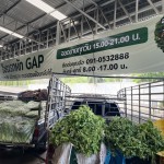 ปทุมธานีสี่มุมเมืองเปิดตลาดผัก GAP ทางเลือกใหม่สำหรับผู้บริโภคที่ใส่ใจสุขภาพ ยกระดับเกษตรกรไทย ปทุมธานีสี่มุมเมืองเปิดตลาดผัก GAP ทางเลือกใหม่สำหรับผู้บริโภคที่ใส่ใจสุขภาพ ยกระดับเกษตรกรไทย