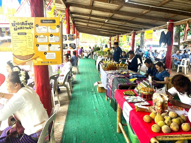 cef49451-b457-44fe-a84d-732fbd1713d8_0