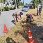 ปทุมธานี!!!สภ.เมืองปทุมธานี ตรวจยึดสิ่งของต้องสงสัยคล้ายยาเสพติด พื้นที่ สภ.เมืองปทุมธานี ปทุมธานี!!!สภ.เมืองปทุมธานี ตรวจยึดสิ่งของต้องสงสัยคล้ายยาเสพติด พื้นที่ สภ.เมืองปทุมธานี