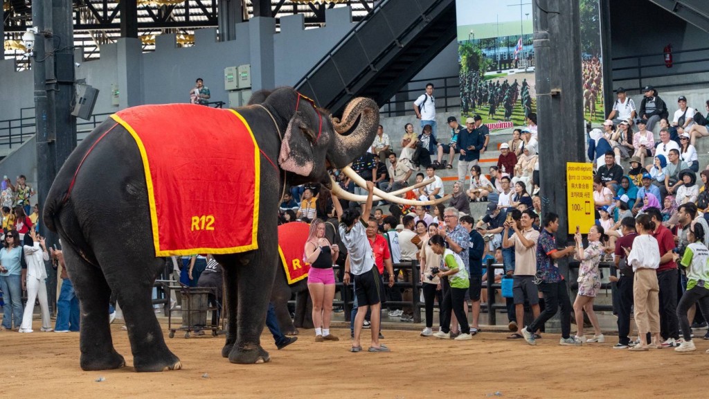 49455AD4-D501-4BEE-8559-E3821B8C9EE2