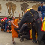 สวนนงนุชพัทยาดูแล ทำคลอดลูกช้าง “พลายศรีวิชัย” อย่างใกล้ชิด สมาชิกใหม่แห่งปางช้าง หลังแม่ช้างเคยพลาดเหยียบลูกช้างเสียชีวิต พร้อมจัดพิธีรับขวัญอย่างยิ่งใหญ่