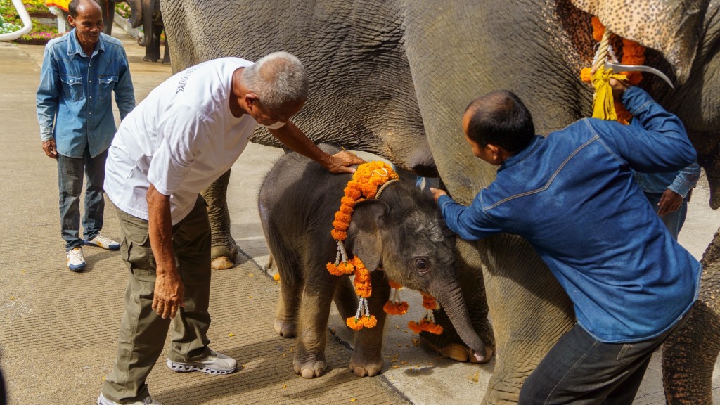 16EE2AD4-74CA-45DD-949F-9FEE3062ABBB