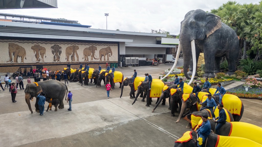 BED4D443-F666-4142-A897-B30D8A4606AE