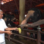 “ตรวจสุขภาพประจำปีช้าง สวนนงนุชพัทยา ดูแลเสมือนคนในครอบครัว”