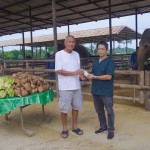 สวนนงนุชพัทยาเร่งด่วน! ส่ง “น้ำนมทองคำ” จากแม่ช้าง ช่วยชีวิตลูกช้างป่าพลัดหลง “น้องข้าวต้ม” 