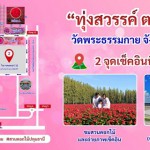 ปทุมธานี-แลนด์มาร์กใหม่ปทุมธานี! สวนดอกไม้ 100 ไร่ เปิดยาวเกือบ 2 เดือน ไม่เสียค่าเข้า เริ่ม 13 ธ.ค.นี้