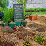 เทิดพระเกียรติในหลวงรัชกาลที่ 9 พระมหากษัตริย์นักพัฒนา “ภูมิพลังแผ่นดิน” 4 – 7 ธันวาคมนี้