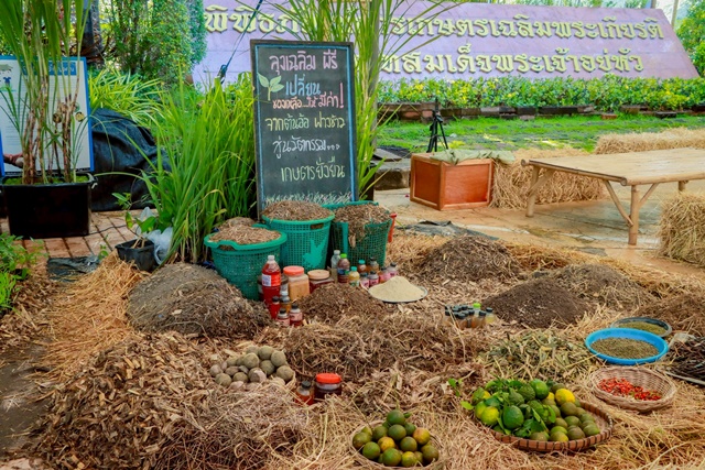 f901ad00-73f1-4be4-9f20-2b76d34e90b8_0