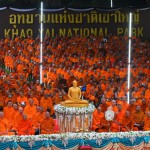 Soft Power ศรัทธาไทย ตักบาตรพระ 1,000 รูป กลางอุทยานเขาใหญ่ Soft Power ศรัทธาไทย ตักบาตรพระ 1,000 รูป กลางอุทยานเขาใหญ่