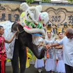 สวนนงนุชพัทยา จัดขบวนช้างแสนรู้เชิดสิงโตสุดยิ่งใหญ่ สืบสานวัฒนธรรมประเพณีจีน ต้อนรับเทศกาลตรุษจีน 2569 สร้างความสุขนักท่องเที่ยวจากทั่วโลก