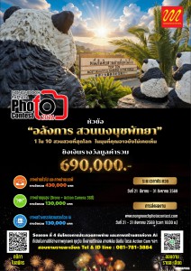 สวนนงนุชพัทยา เปิดเวทีประกวดภาพถ่าย “Nongnooch Photo Contest 2026” ครั้งที่ 4 ชวนช่างภาพทั่วประเทศร่วมถ่ายทอดความอลังการสวนนงนุชพัทยา สู่สายตาโลก สวนนงนุชพัทยา เปิดเวทีประกวดภาพถ่าย “Nongnooch Photo Contest 2026” ครั้งที่ 4 ชวนช่างภาพทั่วประเทศร่วมถ่ายทอดความอลังการสวนนงนุชพัทยา สู่สายตาโลก