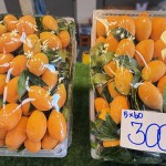 ปทุมธานี-สี่มุมเมืองชี้พิกัด “มะยงชิด–มะขามเทศ” ผลไม้หน้าร้อนราคาดี ส่งตรงจากสวน