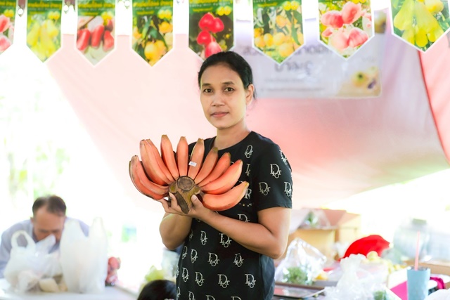 5d9d7767-c059-4bd5-a168-3d6d21d8da4a_0