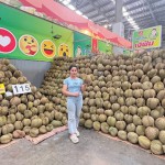 ปทุมธานี-ตลาดสี่มุมเมือง ตอกย้ำศูนย์กลางค้าส่งทุเรียน 24 ชม. จัดมหกรรม“ทุเรียน EXPO สี่มุมเมือง 2026”ปั้น Destination คนรักทุเรียน ตอบโจทย์ผู้ซื้อ B2B–B2C ครบวงจร