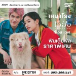โกฮัง..ยังรอฮีลใจ ให้นุดแวะไปเติมหมา รีบมาหากันได้ในโรงภาพยนตร์