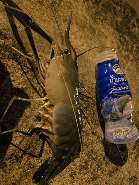 S__9674766_0