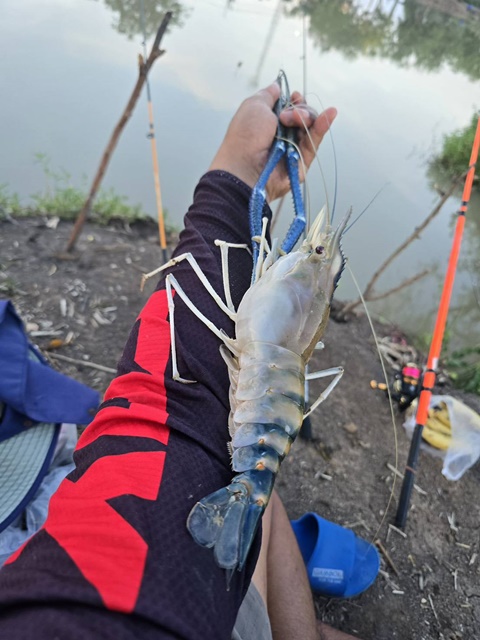 S__9674774_0