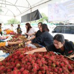 ปทุมธานี ประชาชน จับจ่าย “ไทยช่วยไทยพลัส” คึกคัก แห่ซื้อทุเรียนระยอง เกรด A ในกิจกรรมรณรงค์บริโภคผลไม้ภาคตะวันออก