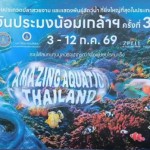 ปทุมธานี “ยิ่งใหญ่ที่สุดในประเทศ” แถลงข่าวจัดงาน วันประมงน้อมเกล้าฯ ครั้งที่ 36 ยกทัพสัตว์น้ำสุดอลังการภายใต้ธีม Amazing Aquatic Thailand