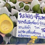 ปทุมธานี ตลาดสี่มุมเมืองยกทัพอะโวคาโด 7 สายพันธุ์ ขายตลอดปี ราคาค้าส่งจากสวน