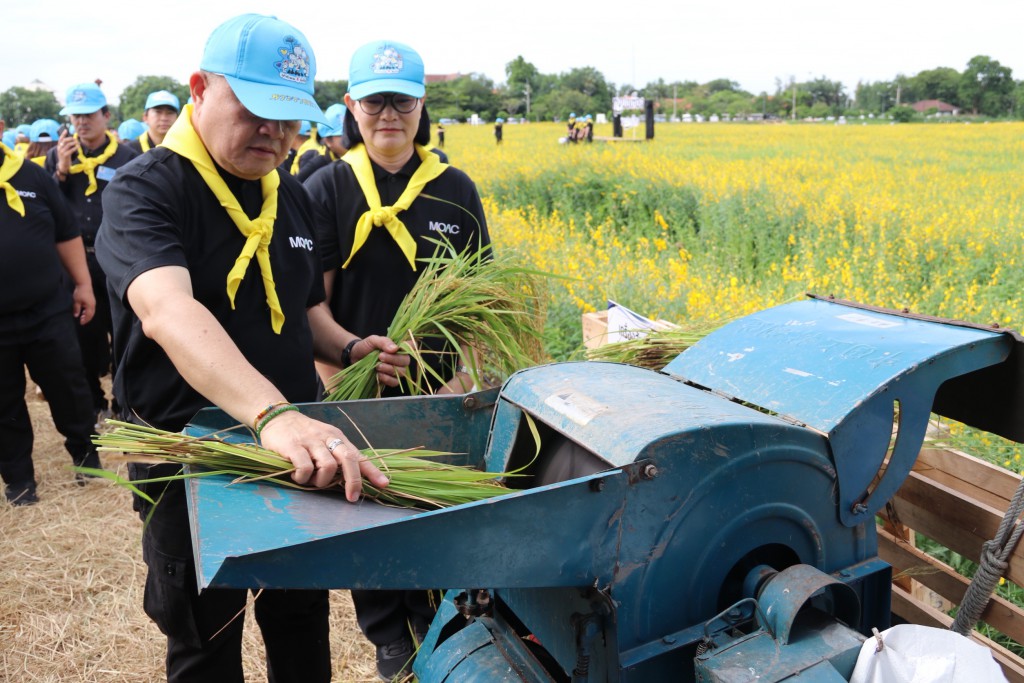 IMG_3529