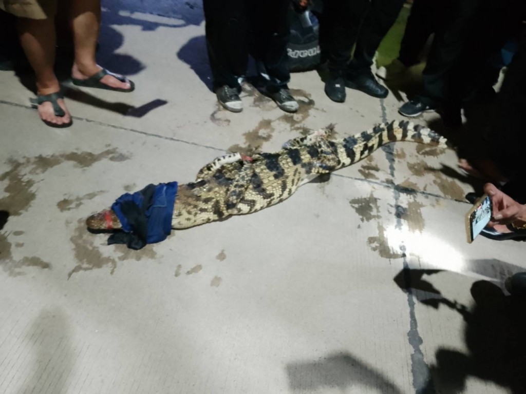 S__16515295_0